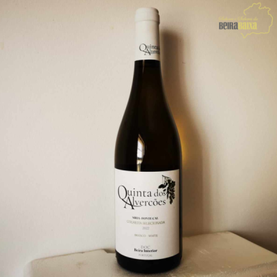 Garrafa de vinho branco Quinta dos Alvercões 2022 com rótulo branco e tampa branca