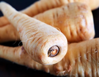 Raízes de pastinaca creme com textura rugosa fundo escuro