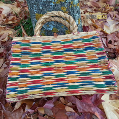 Mala de mão trançada multicolorida com alça sobre folhas secas