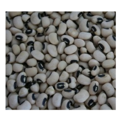 Feijão-frade branco com manchas pretas, textura seca, sem embalagem