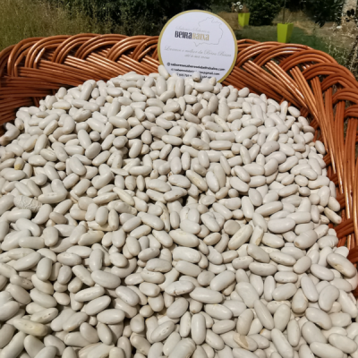 Cesto de vime cheio de feijão branco com etiqueta circular com texto de identificação