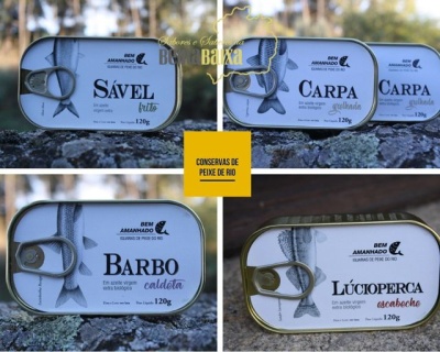 Latas de conserva BEM AMANHADO de peixe de rio Sável, Carpa, Barbo e Lúcioperca em embalagens metálicas.