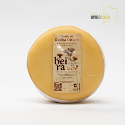 Queijo redondo de ovelha curado com etiqueta marrom e fundo branco