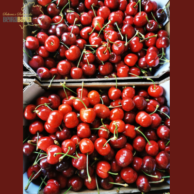Caixas de cerejas vermelhas com caules verdes
