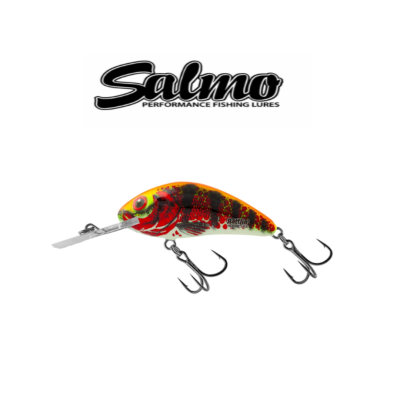 Isca de pesca Salmo colorida com dois anzóis duplos