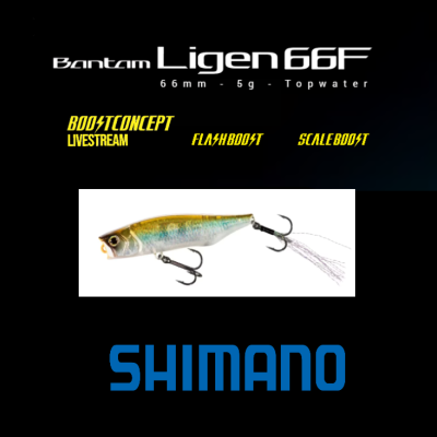 Isco de pesca Shimano Bantam Ligen 66F azul e prata com texto informativo e logo Shimano