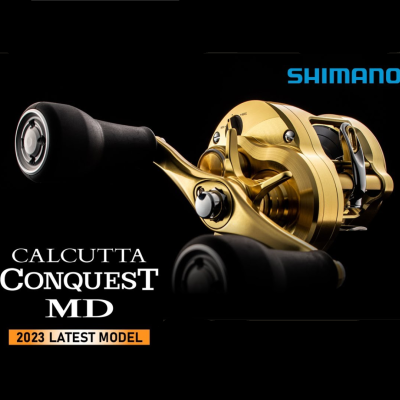 Carreto de pesca dourado Shimano Calcutta Conquest MD 2023 em fundo preto