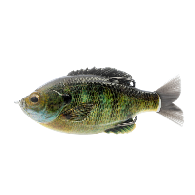 Isca artificial em forma de peixe verde e preto