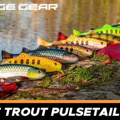 Oito iscas artificiais formato truta em várias cores sobre pedra junto a lago com folhas vermelhas