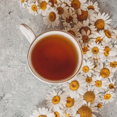Chávena branca com chá rodeada de flores brancas de centro amarelo