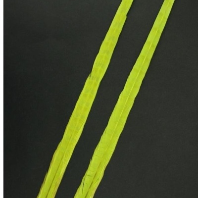 Duas penas verdes longas sobre fundo preto