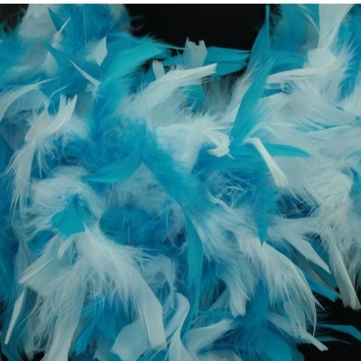 Plumas azuis e brancas sobre fundo escuro