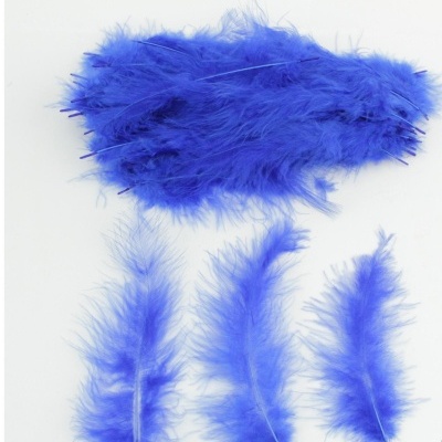 Penas azuis de tamanhos variados sobre fundo branco