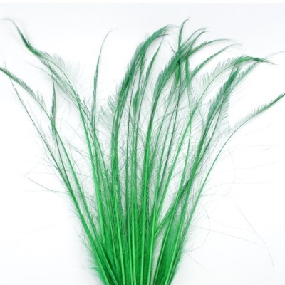 Penas verdes finas sobre fundo branco