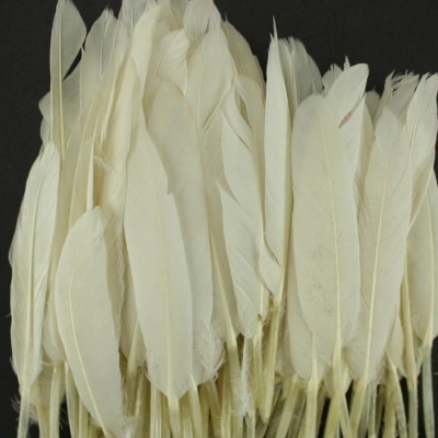 Penas naturais brancas agrupadas sobre fundo preto.