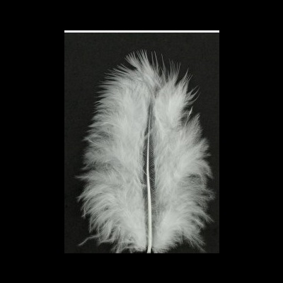 Pena branca fofa sobre fundo preto