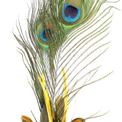 Penas de pavão decorativas com penas amarelas e castanhas na base
