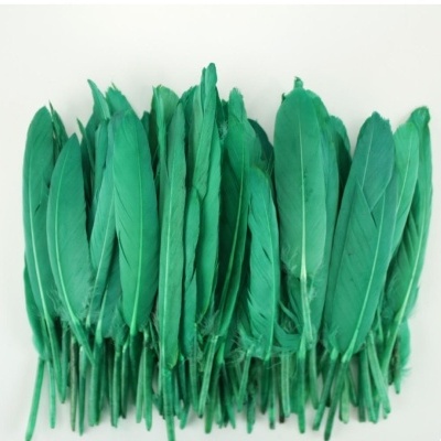 Várias penas verdes alinhadas sobre fundo branco