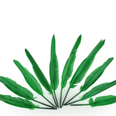 Dez penas verdes artificiais em leque