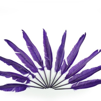 10 penas roxas artificiais em leque sobre fundo branco