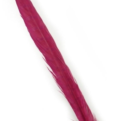 Pena longa cor vinho sobre fundo branco