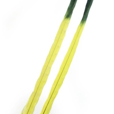 Duas penas longas amarelas com pontas pretas