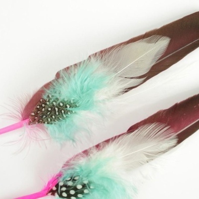 Penas decorativas coloridas sobre fundo branco