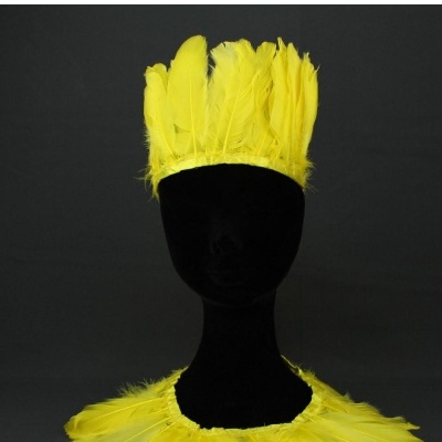 Cabeça de manequim com coroa e golas de penas amarelas
