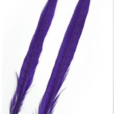 Duas penas longas roxas sobre fundo branco