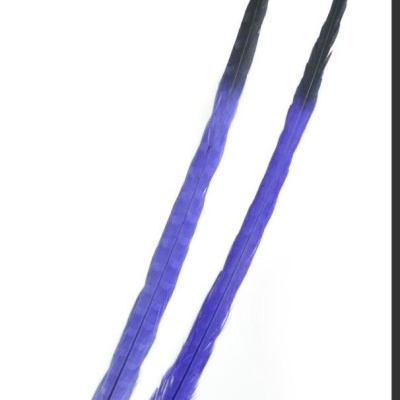 Duas penas longas roxas com ponta preta sobre fundo branco