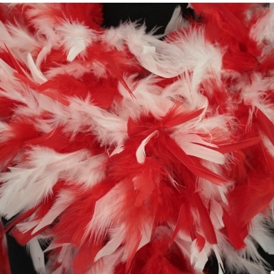 Plumas vermelhas e brancas numa superfície escura