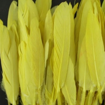 Conjunto de penas amarelas naturais sobre fundo preto