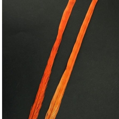 Duas penas laranja longas sobre fundo preto