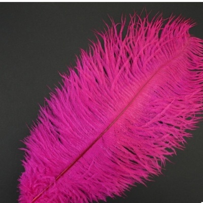 Pluma fúcsia sobre fundo preto