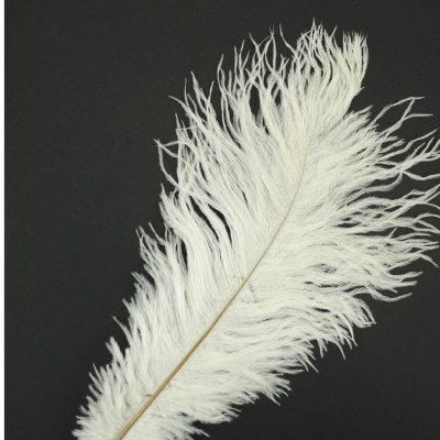 Pena branca longa sobre fundo preto