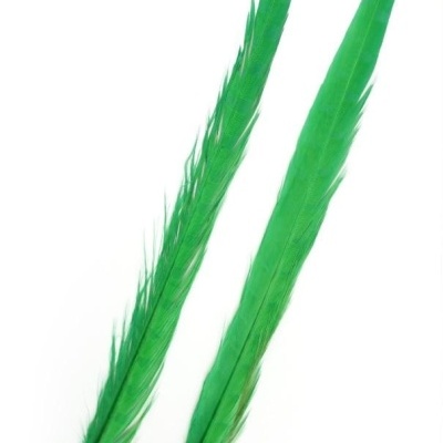 Duas penas verdes longas e finas sobre fundo branco