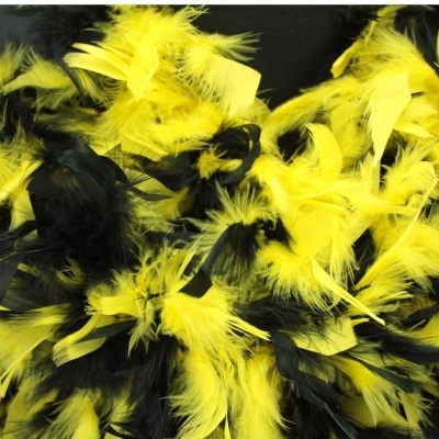 Tufos de penas amarelas e pretas com etiquetas brancas