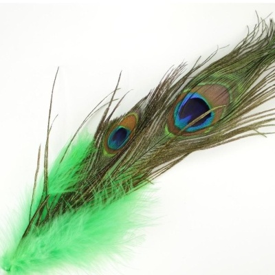 Pluma decorativa verde com padrão de olho de pavão