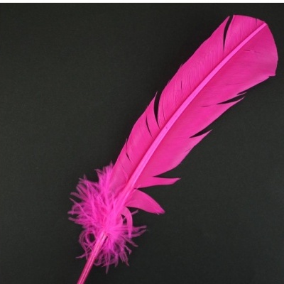 Pena cor-de-rosa vibrante sobre fundo preto