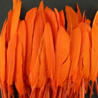 Penas naturais laranja agrupadas em fundo escuro