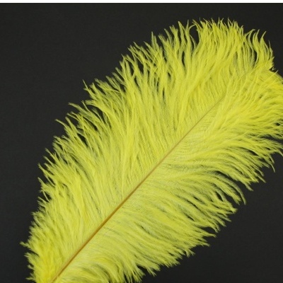 Pena grande amarela sobre fundo preto