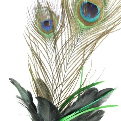 Arranjo de penas naturais coloridas incluindo penas de pavão e penas pretas