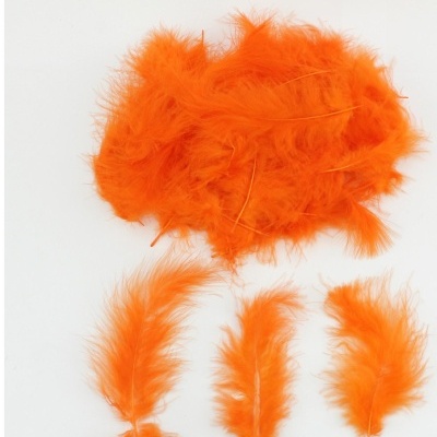 Conjunto de penas laranja sobre fundo branco