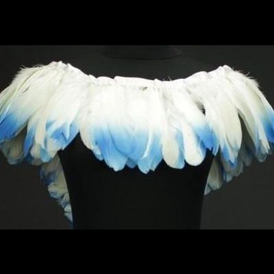 Colar ou adereço de ombros com penas brancas e azuis