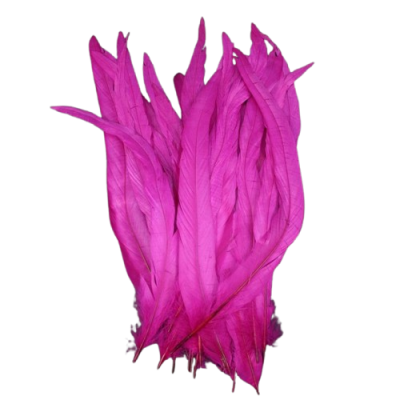 Penas longas cor-de-rosa vibrante sobre fundo preto