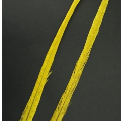 Duas penas amarelas longas sobre fundo preto