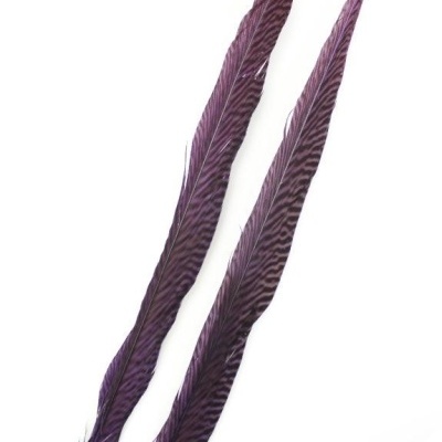 Duas penas longas roxas com padrão de riscas