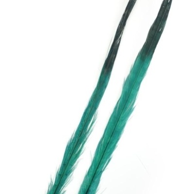 Duas penas longas verdes e pretas sobre fundo branco