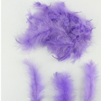 Penas decorativas roxas sobre fundo branco