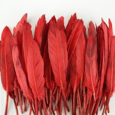 Penas vermelhas empilhadas sobre fundo branco